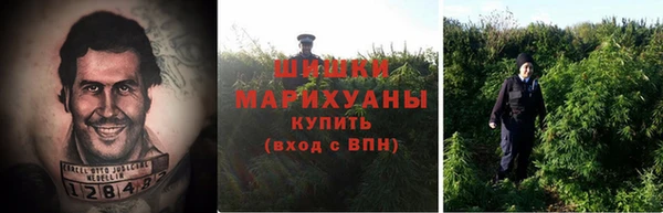 МДПВ Козловка