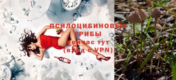 дмт Кукмор