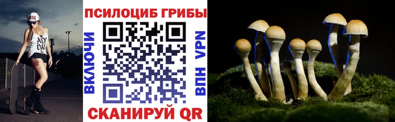 дарк нет клад Черемхово Галлюциногенные грибы мухоморы