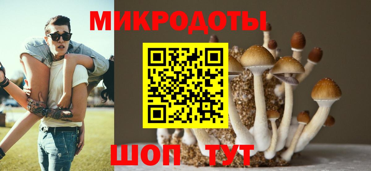 Черемхово  Псилоцибиновые грибы Magic Shrooms  Вход с VPN 
